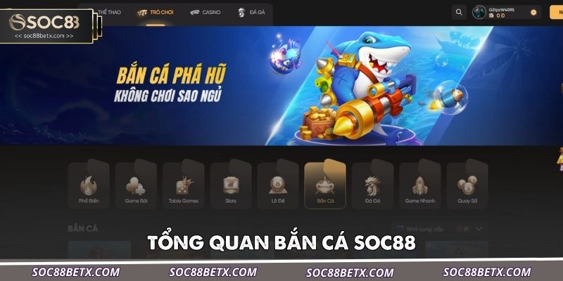 tong-quan-ban-ca-soc88
