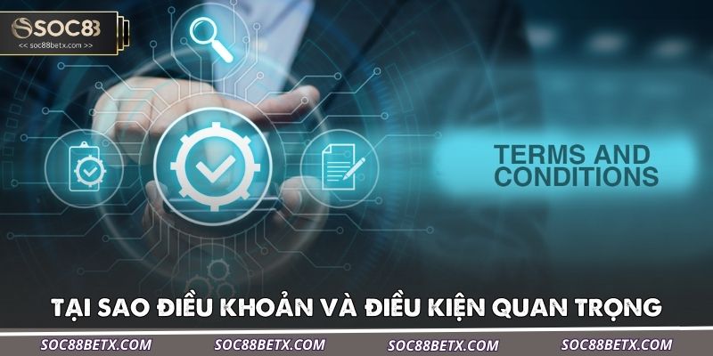 tai-sao-dieu-khoan-va-dieu-kien-quan-trong